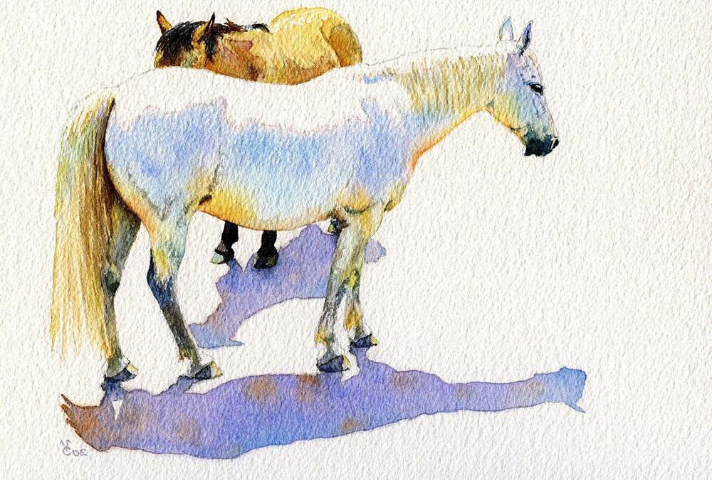 Loafin’ on the Circle H by Valerie Coe