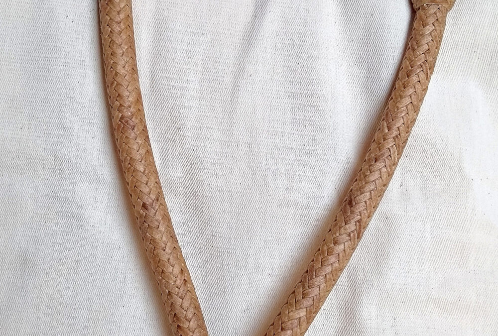 Braided Rawhide Hackamore by Vern Ballantyne