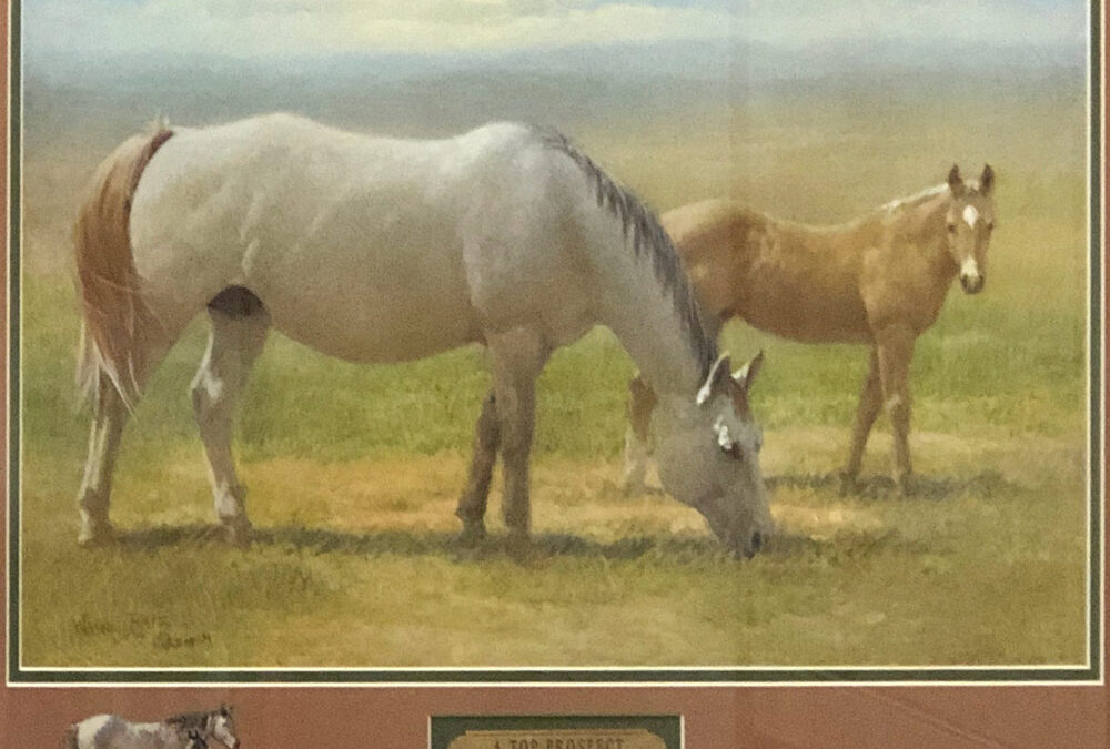 A Top Prospect by Wayne Baize