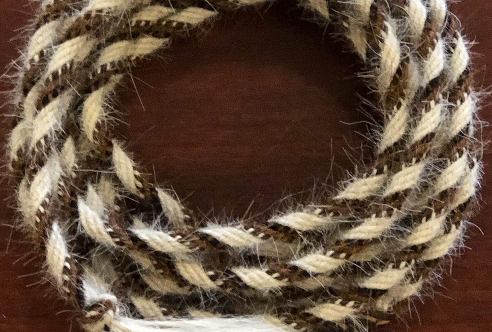 1/2″ Mane Hair Mecate by Douglas Krause – SOLD