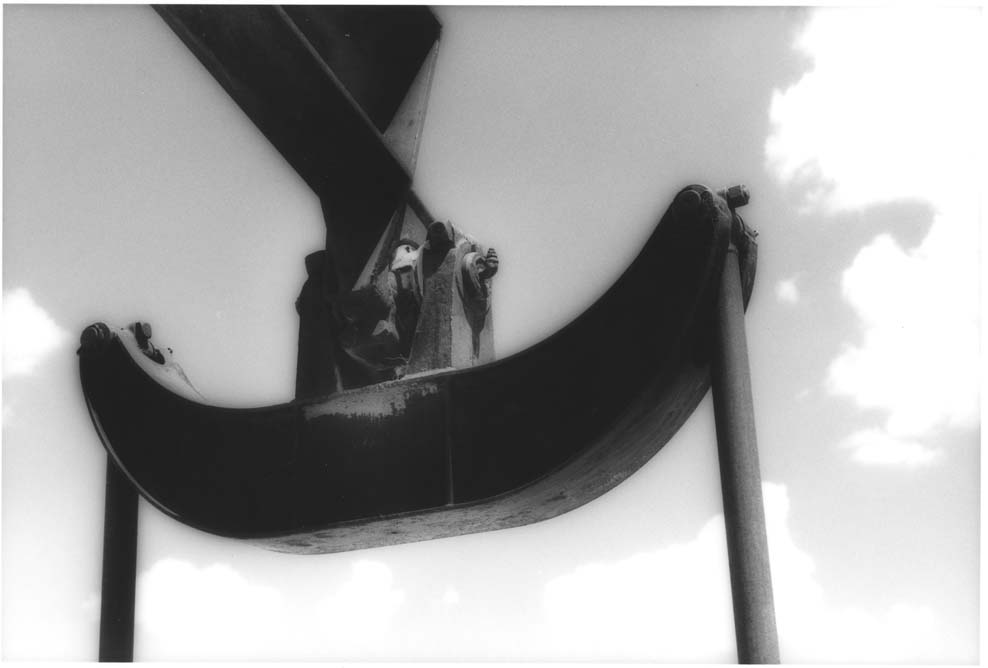 Tail Bearing Against Sky