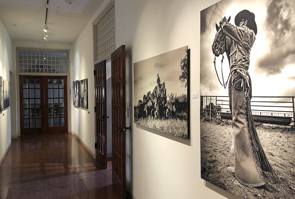 Cow Hands exhibit by Jerry Goodale