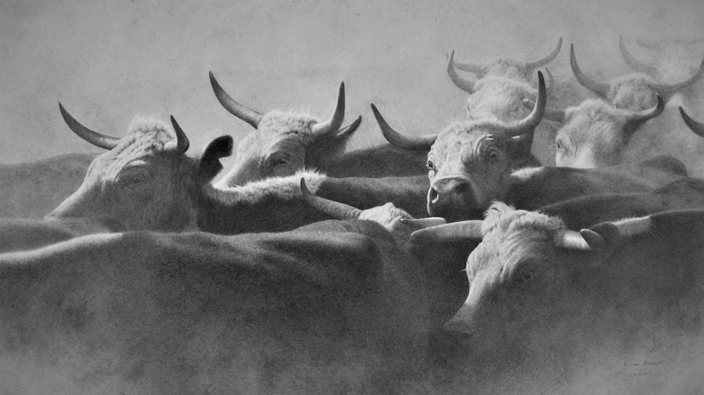 Rush Hour by Brian Asher