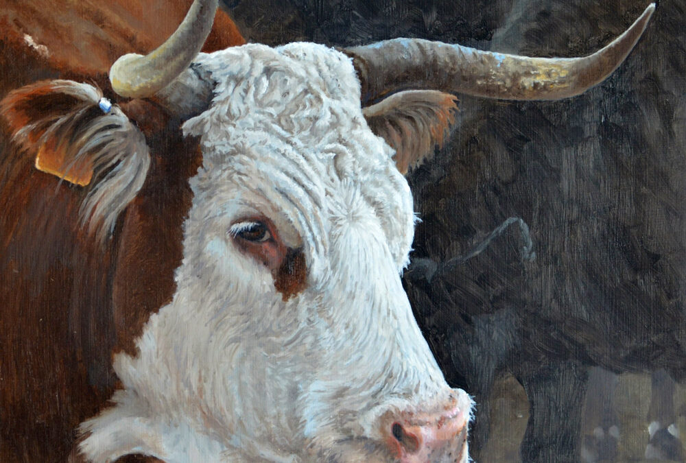 Ranch Mama by Herman Walker