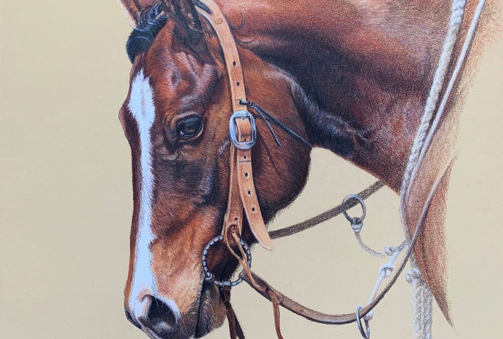 Soft in the Face by Kathryn Leitner