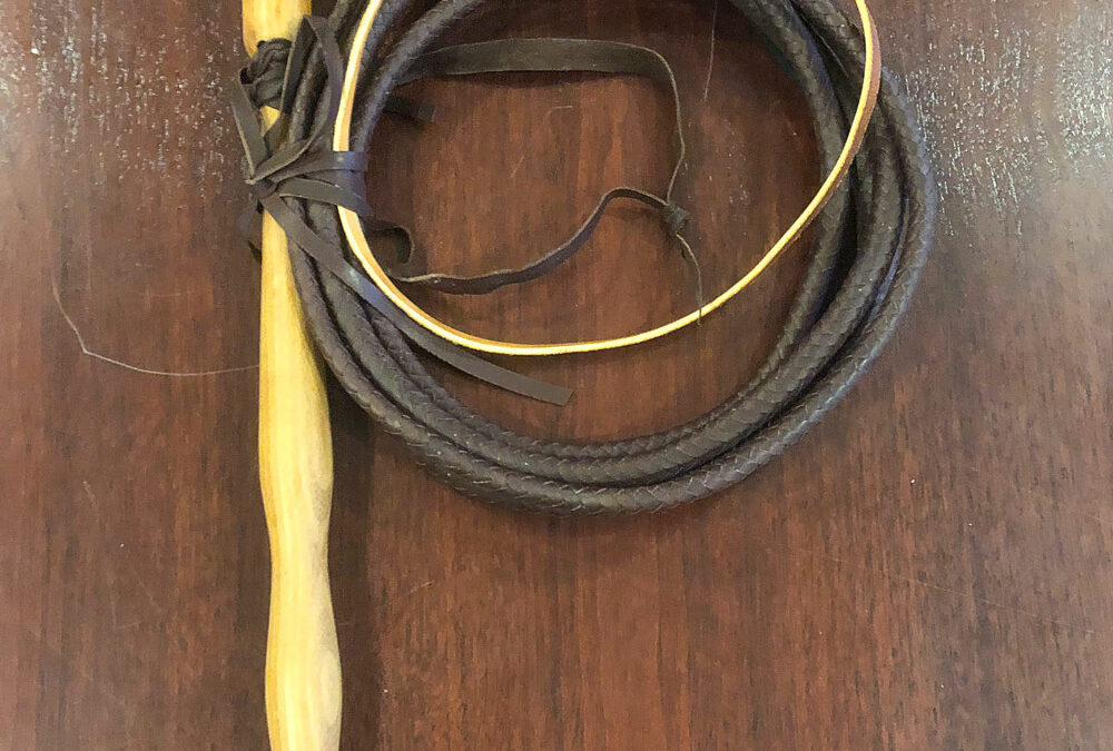 Kangaroo Stockwhip by Krist King