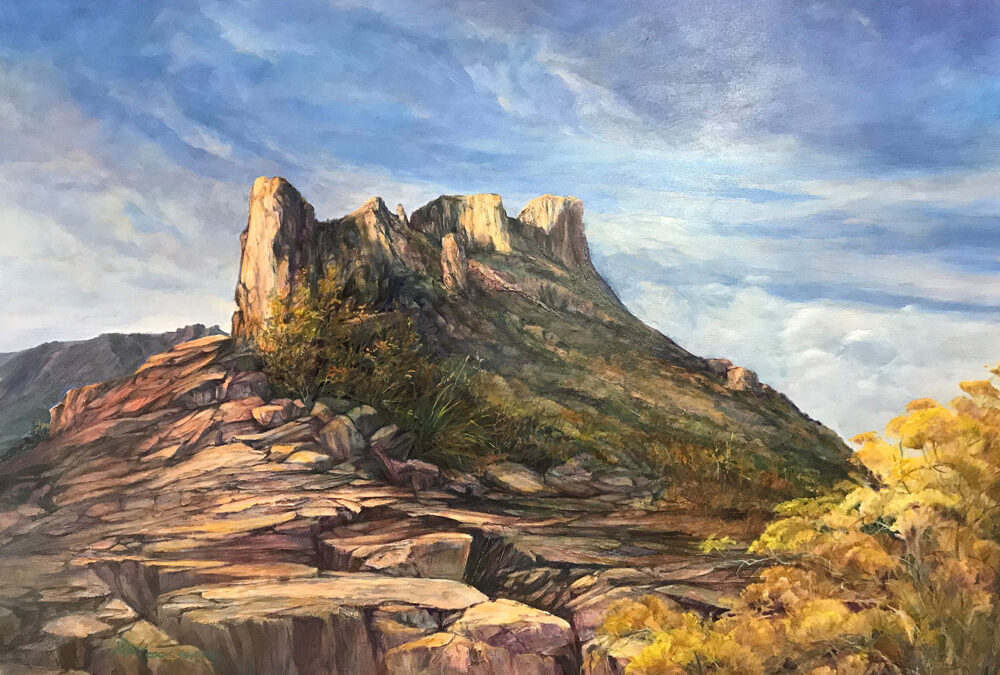 Sky Island by Lindy Cook Severns