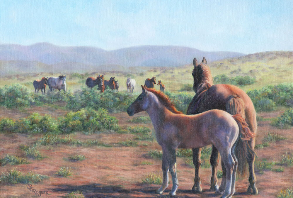 Waiting on the Herd by Shelly G. Rogers