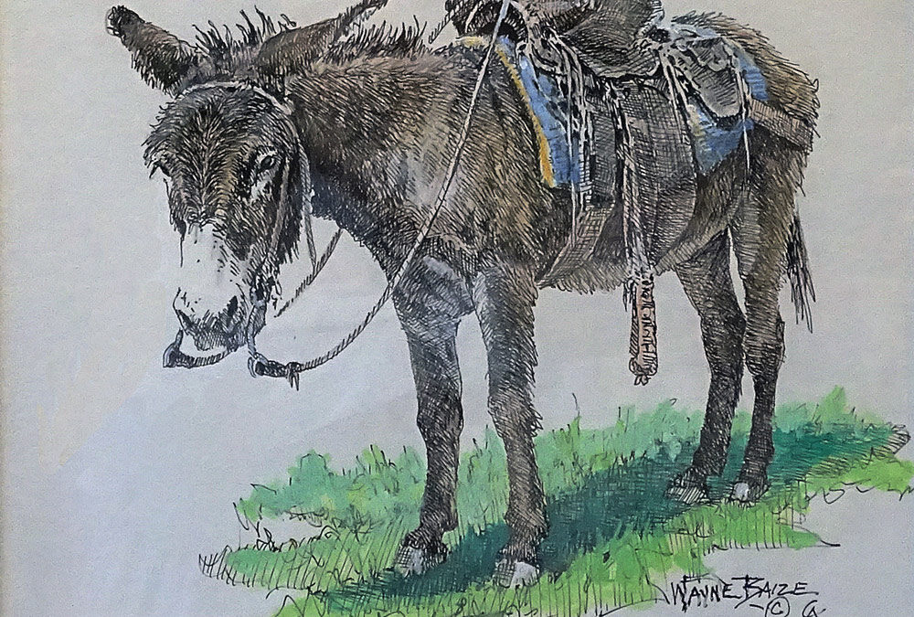 Mi Amigo by Wayne Baize