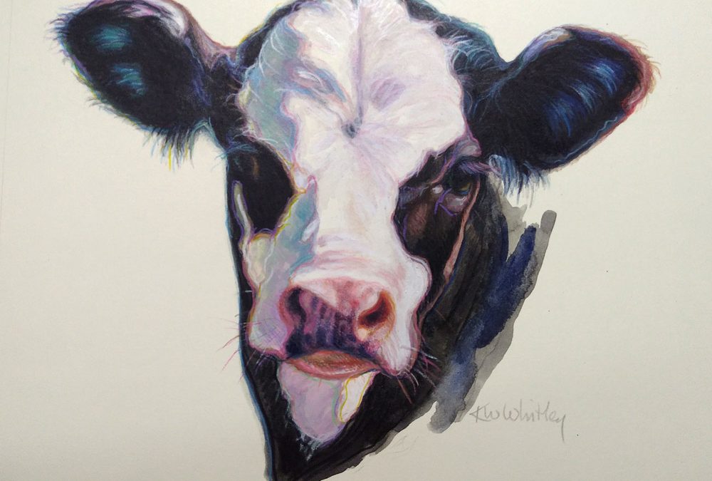 Calf Study by KW Whitley