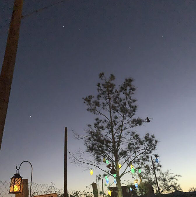 Elizabeth Lozano-Presidio