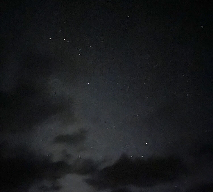 Fernanda Rodríguez-Terlingua