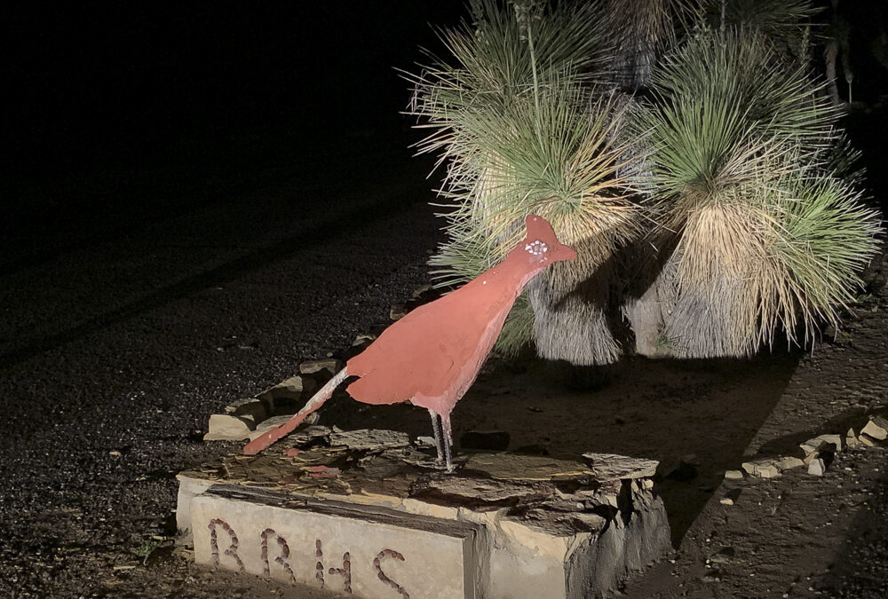 Laila Salido-Terlingua