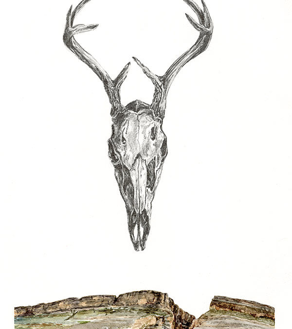 ART-13-Kerri-Menchaca-Bone-and-Water-graphite-and-watercolor-framed-15.5×18.5-725