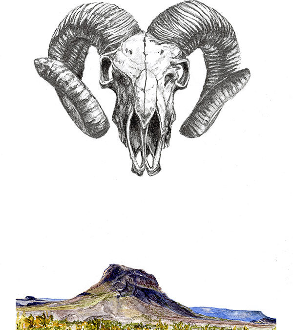 ART-14-Kerri-Menchaca-Dust-and-Heat-graphite-and-watercolor-15.5×18.5-725