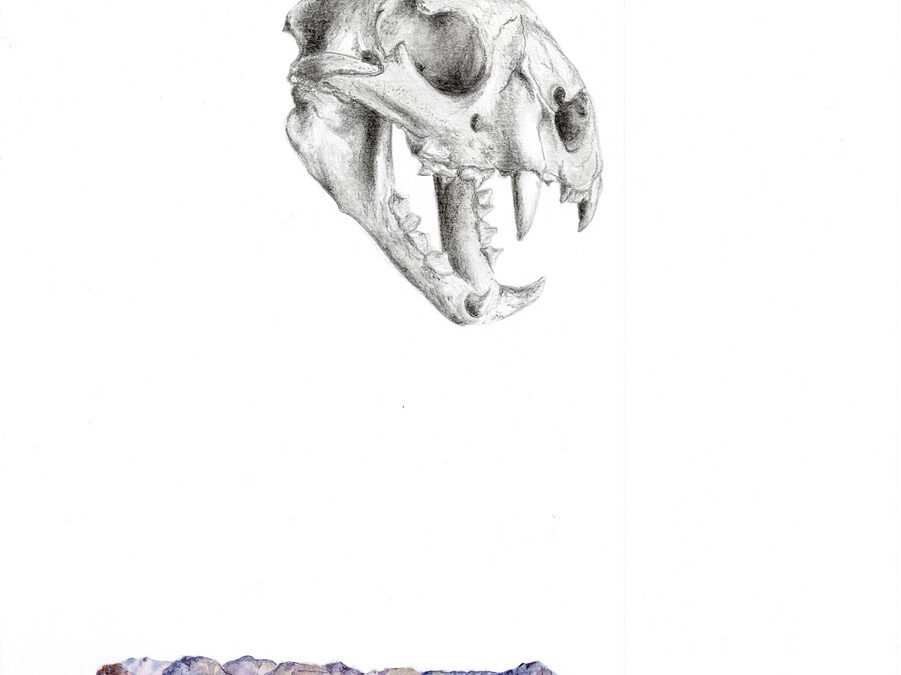 ART-15-Kerri-Menchaca-Ash-&-Sky-graphite-and-watercolor-on-paper-framed-size-15.5×18.5-725