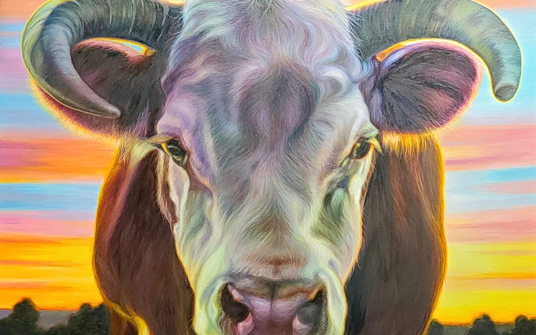 ART-6 KW Whitley, Heavenly Hereford, oil