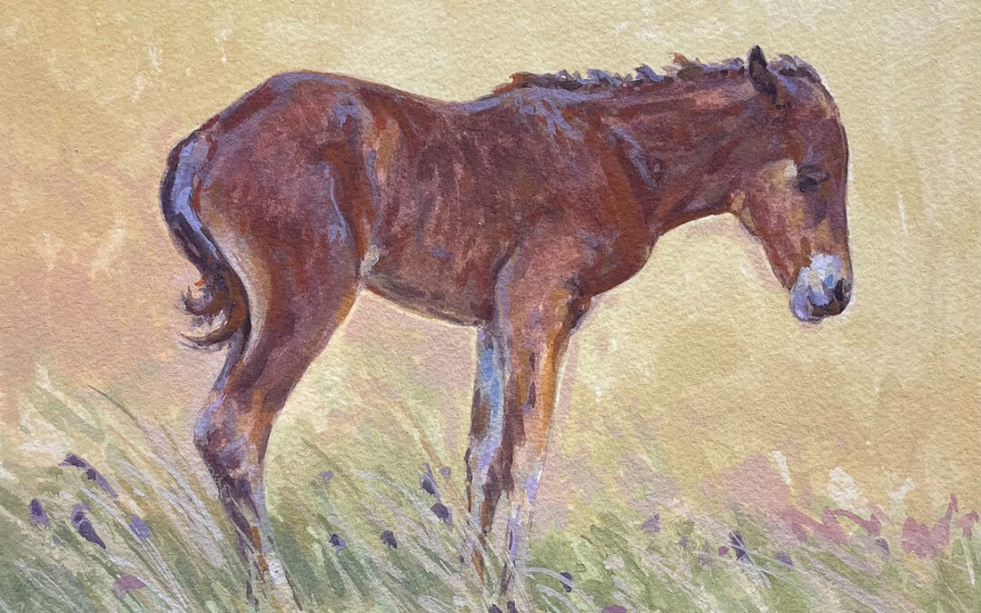 ART-63-Teal-Blake-The-Range-Colt-watercolor-image-8×5-1200