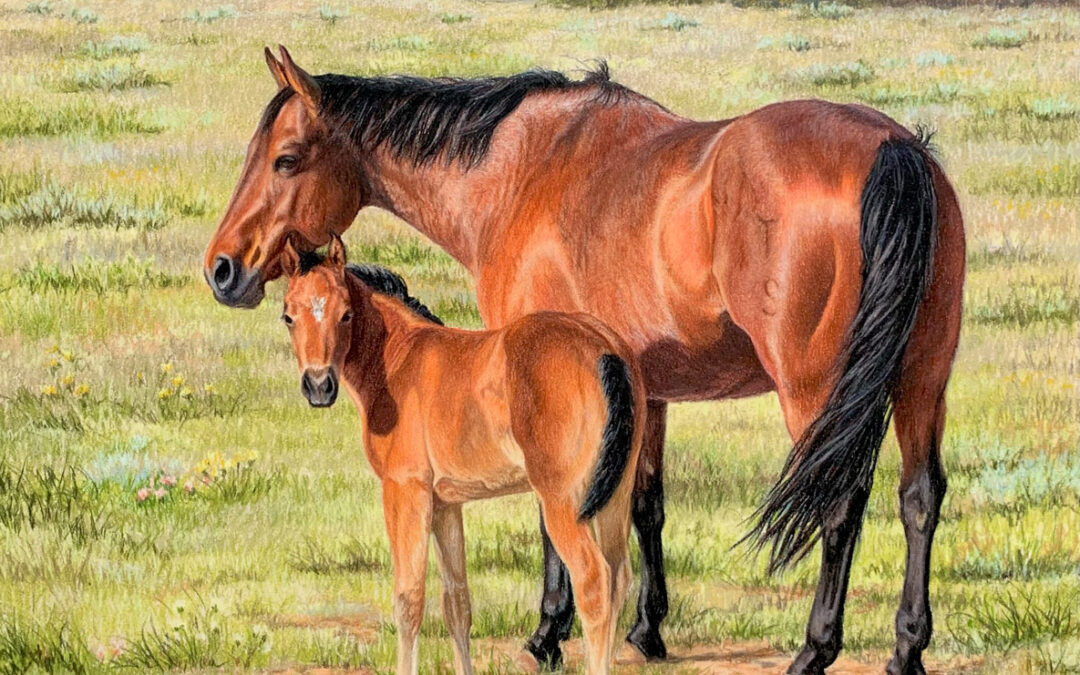 ART-79-Kathryn-Leitner-West-Texas-in-the-Spring-Colored-Pencil-on-Sanded-Paper-size-18.5×18.5-$2300