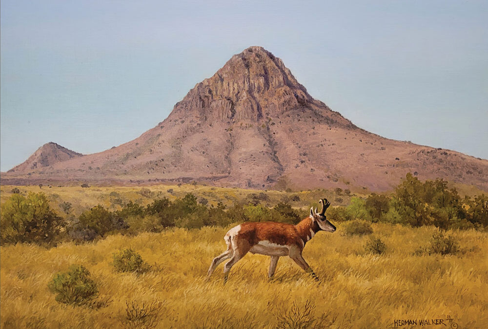 36. Range Rocket by Herman Walker – SOLD