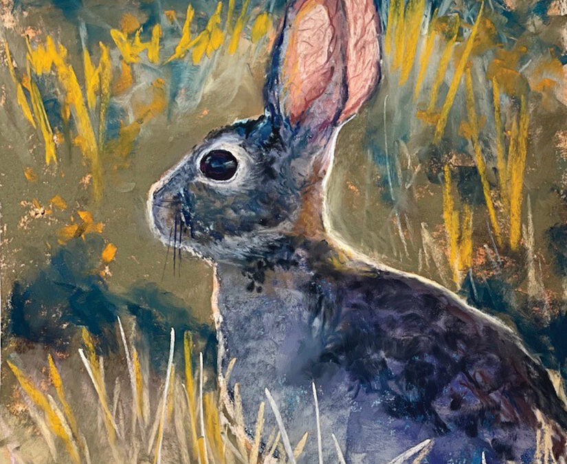 Carol-Arnold-Baby-Jack-pastel-on-archival-paper-18.5×16