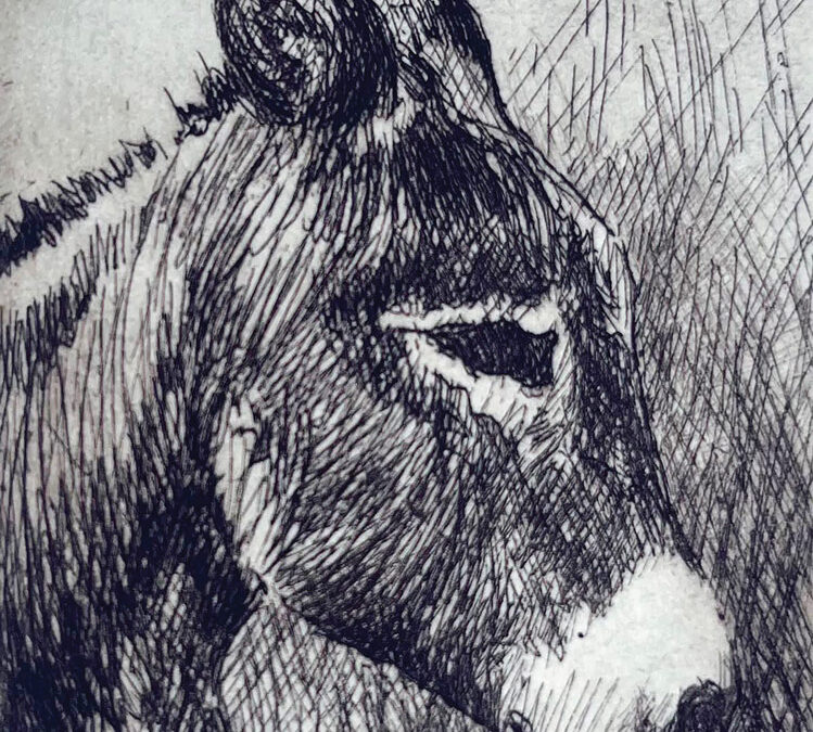 Gracie by Chessney Sevier