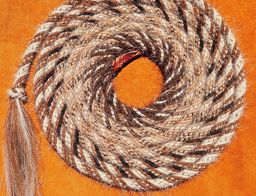 Douglas-Krause-Trick-Rope-Mecate-6-strand-mane-hair-22-feet-long-650