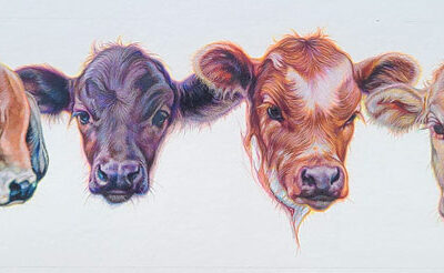 Calves A Plenty by KW Whitley – SOLD