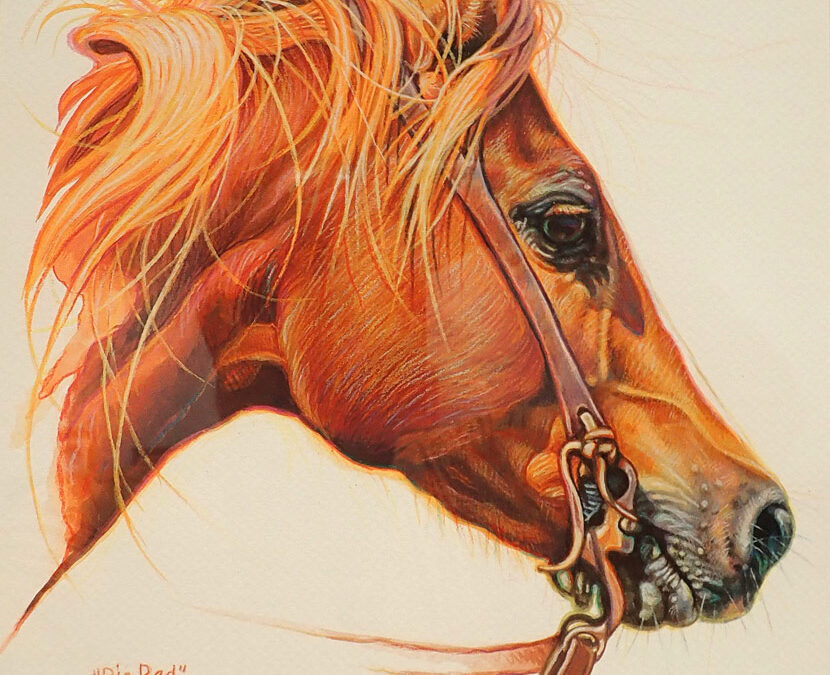 KW-Whitley-Big-Red-Gouache-and-color-pencil-15×17-850