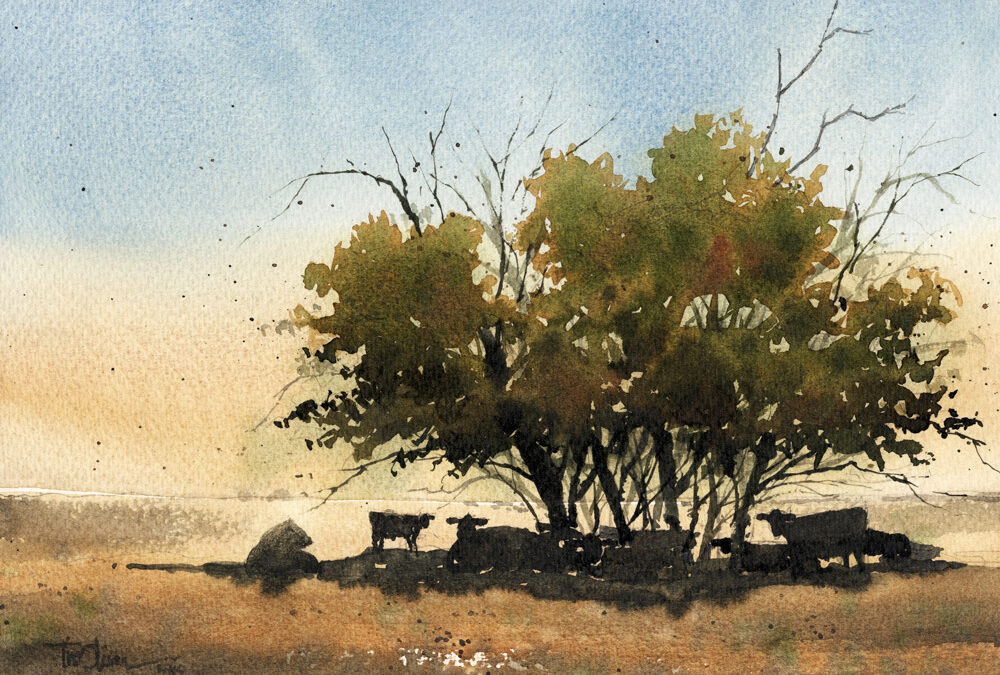 Tim-Oliver-High-Noon-Hangout