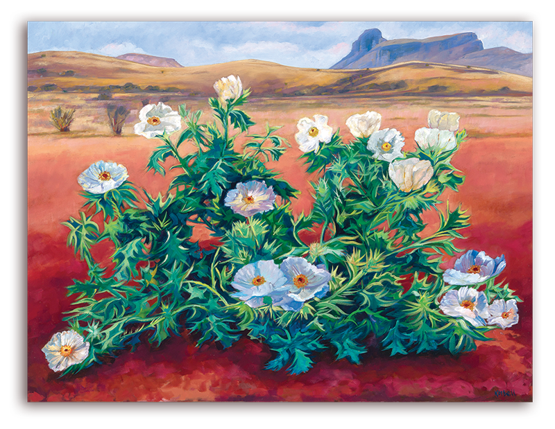 West-Texas-White-Poppys-Carrington-slider-image