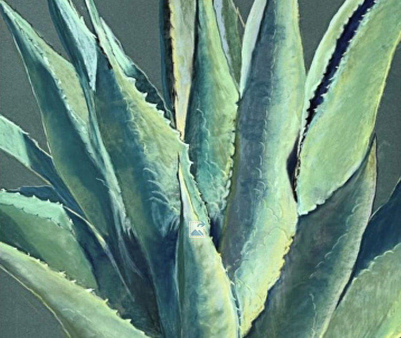 Carol-Arnold-Blue-Agave-Pastel-on-Archival-Paper-34×26