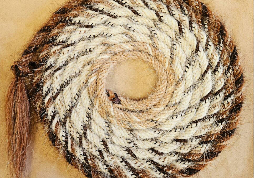 Douglas-Krause-Trick-Rope-Mecate-Manehair