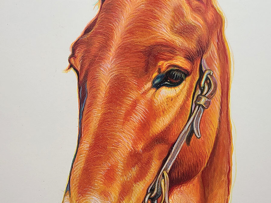 KW-Whitley-Sweet-Thing-JRs-Hard-Working-Little-Mule-Gouache-and-colored-pencil-22×16