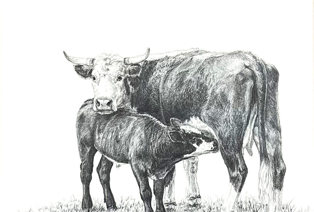 Katheryn-Merrill-Tough-Momma-Tough-Country-Graphite-on-Clayboard-10×10