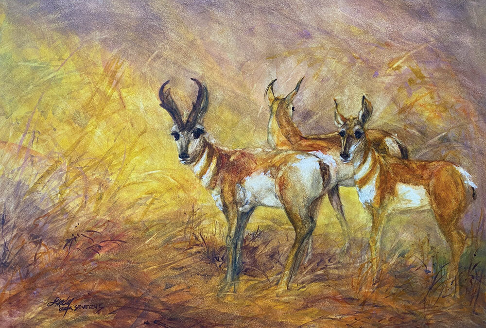 LIndy-C-Severns-Ready-to-Race-the-Wind