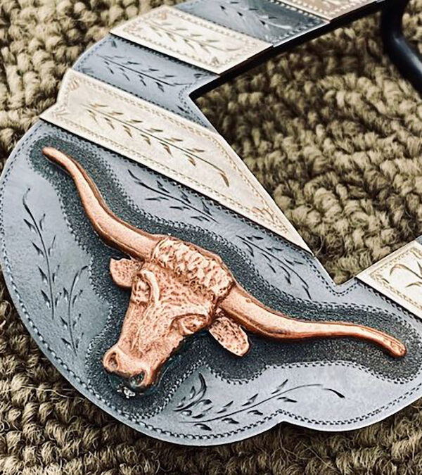 Old School Stripes & Longhorn by Mike Pardue