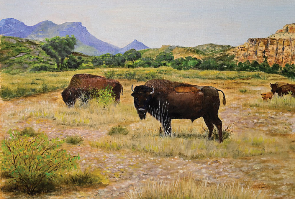 Cibolo Buffalo by Patricia Moreland – SOLD
