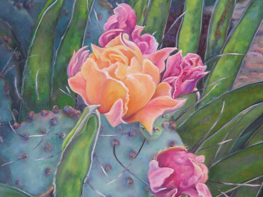Cactus Rose in the Lechugilla by Shelly Rogers