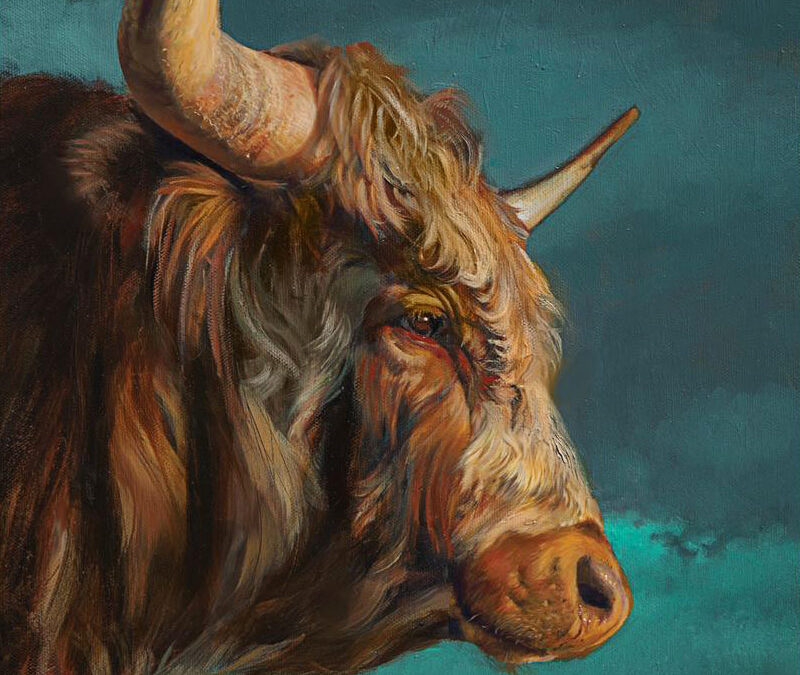 Teresa-Elliott-West-Texas-Bull-Oil-on-Canvas