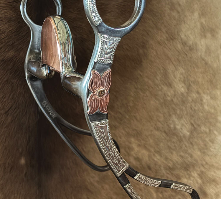 Doug-Cook-Steel, Sterling Silver, and Copper Bit