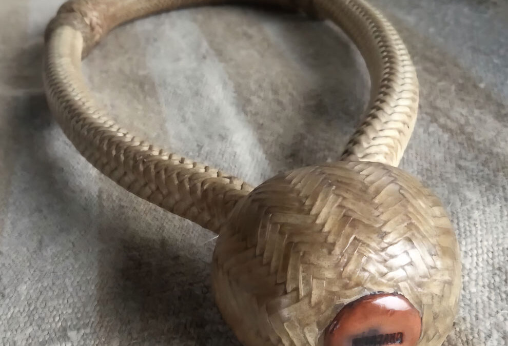 Pablo-Lozano-Bosal-Rawhide