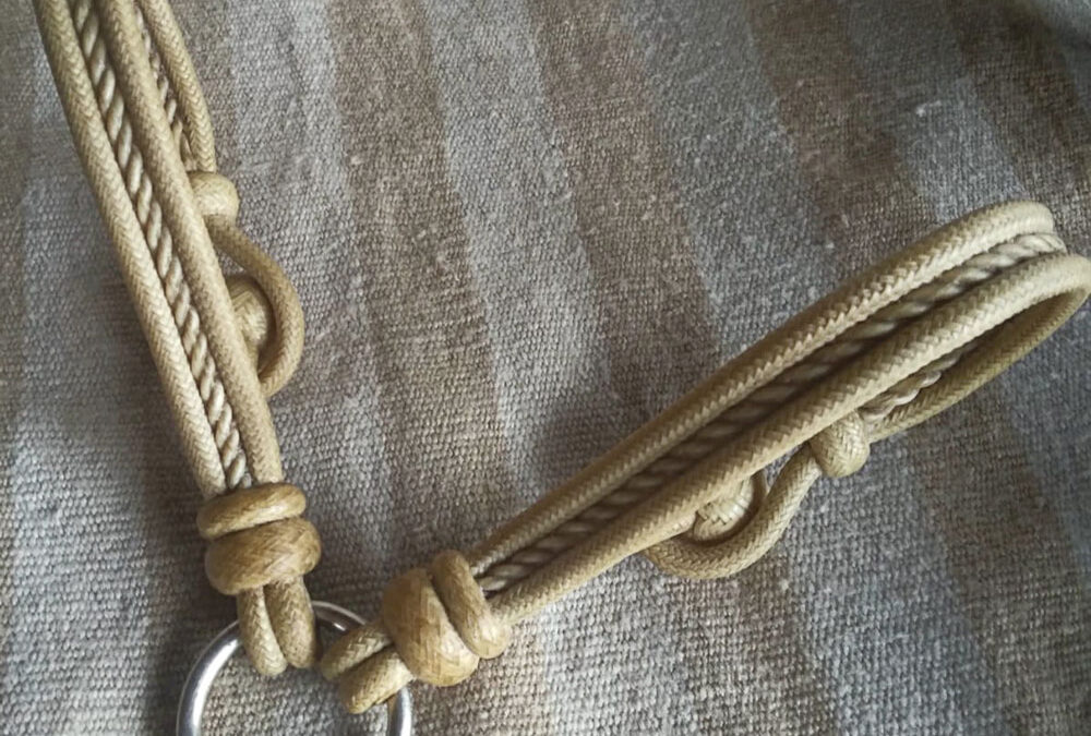 Pablo-Lozano-Hobbles-Rawhidejpg