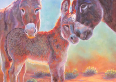 Big Bend Burros by Shelly G. Rogers