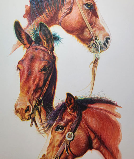 Two Bays and a Mule by K.W. Whitley