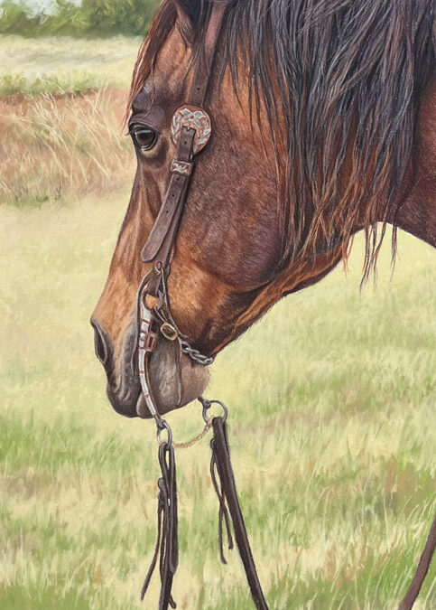 Kathryn-Merrill-The-Campbell-Colored-and-Pastel-Pencil-on-Sanded-Paper