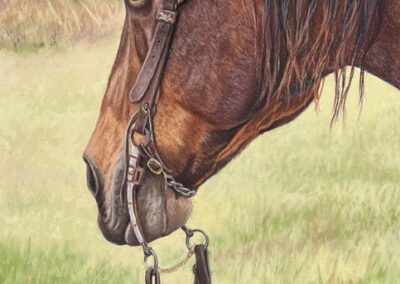 The Campbell by Kathryn Merrill