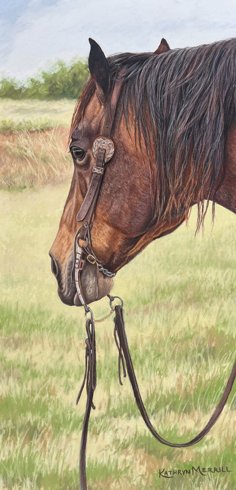 Mankato Style Spur Strap Buckles on Custom Straps by Baru Forrel