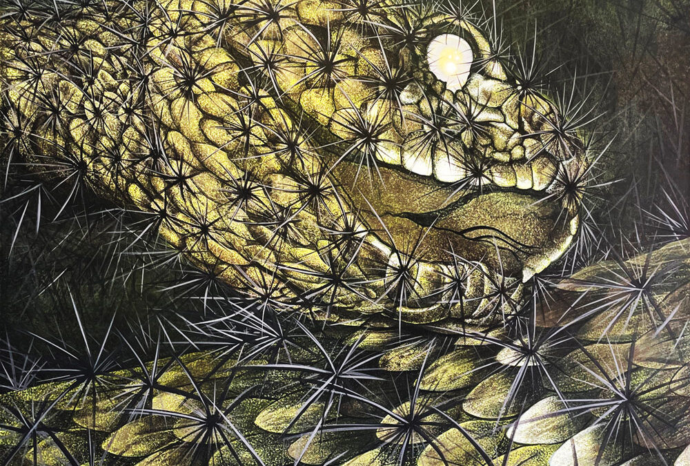 08-Perla-del-Desierto-MV