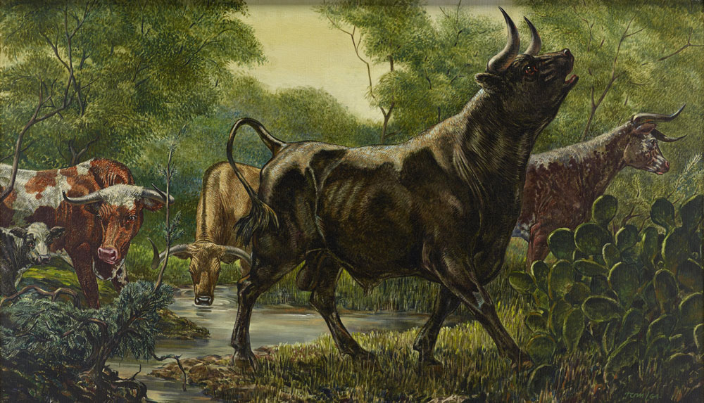 Tom-Lea-Wild-Cattle-of-South-Texas